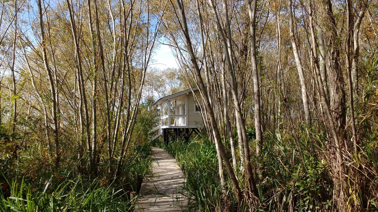 Bajos Del Parana Tigre Exterior photo